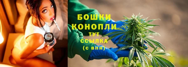 сатива Верхний Тагил