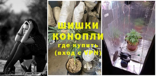 сатива Верхний Тагил