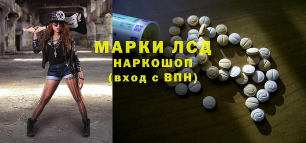 сатива Верхний Тагил
