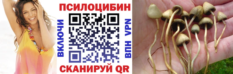 Псилоцибиновые грибы Psilocybine cubensis МЕГА ТОР Карасук